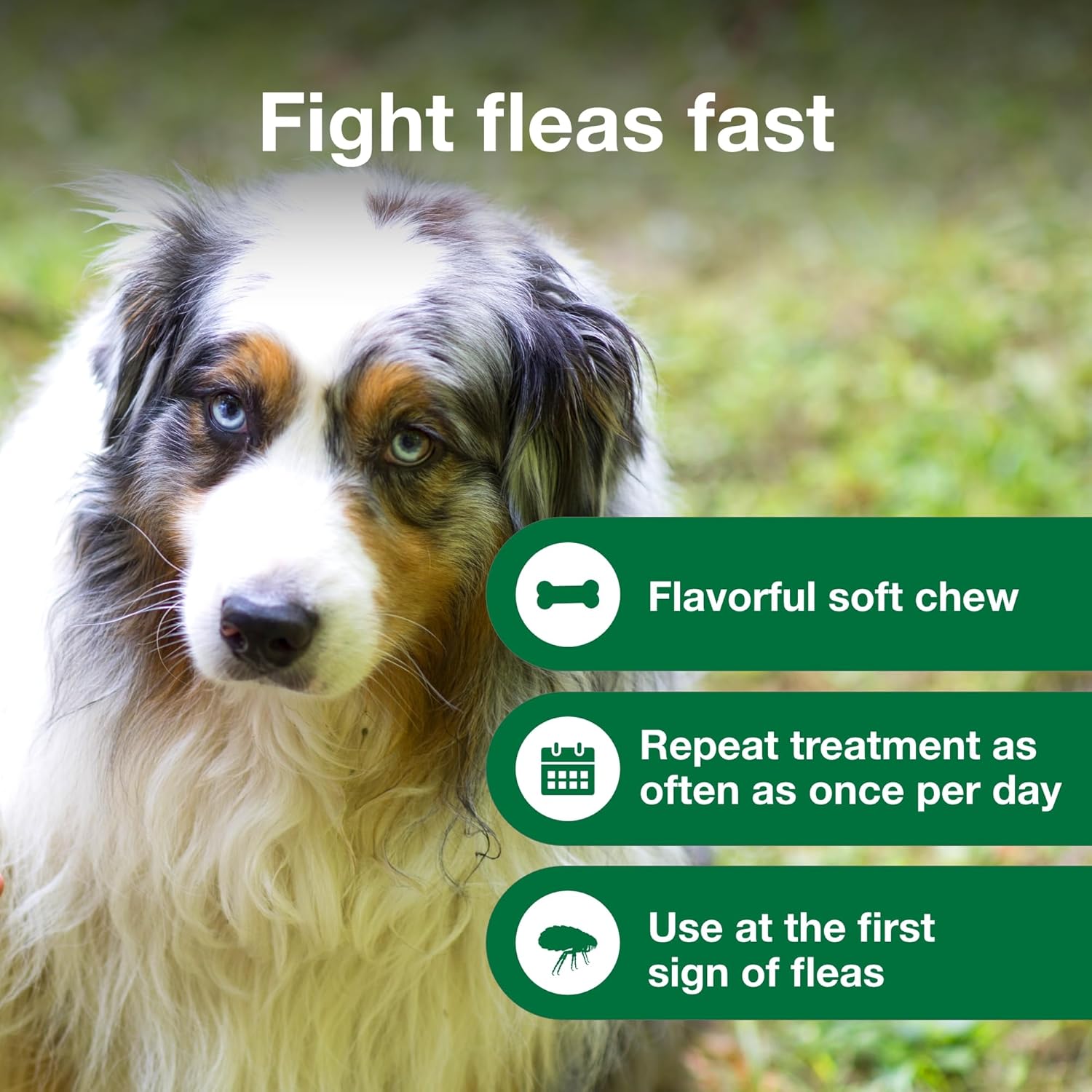 Advantus for Large Dogs - Image 4